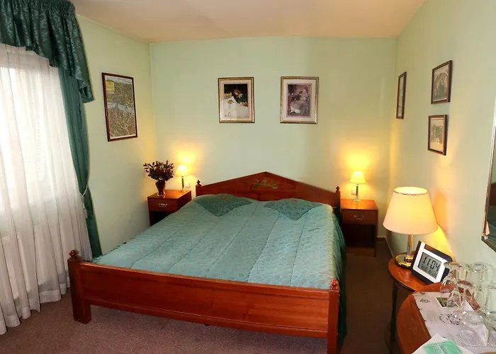 Hotel River Star 3*
